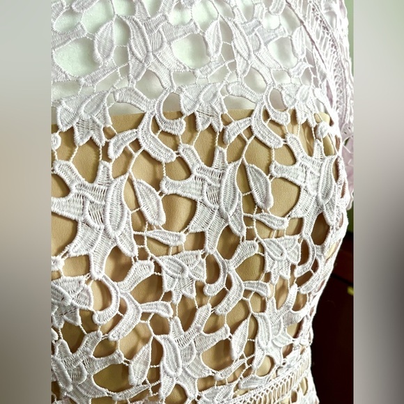 Eliza J lace purple cocktail dress, Size 8P - Picture 4 of 6